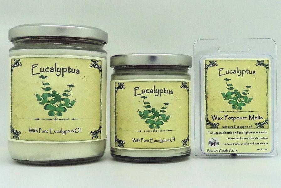 candle eucayptus1.JPG